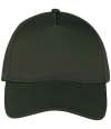 NS037 Native Spirit 5 Panel Cap organic khaki colour image